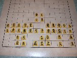 Chu Shogi: all pieces